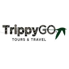 TrippyGo Experiences Logo