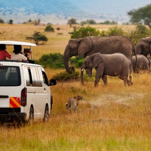 Destination Management Company